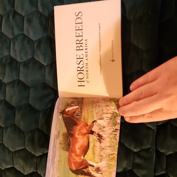 Softcover book Horse breeds of North America by Judith Dutson - Picture 3 of 3